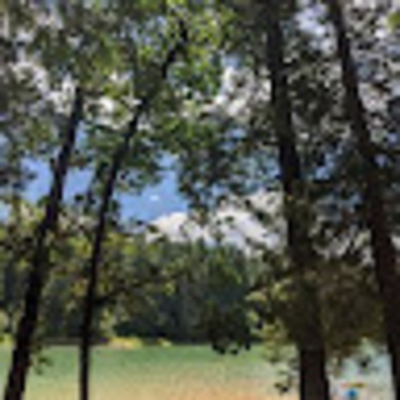 Meet your Posher, Lisa - Picture 1 of 1